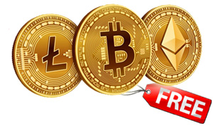 نوید همراهی